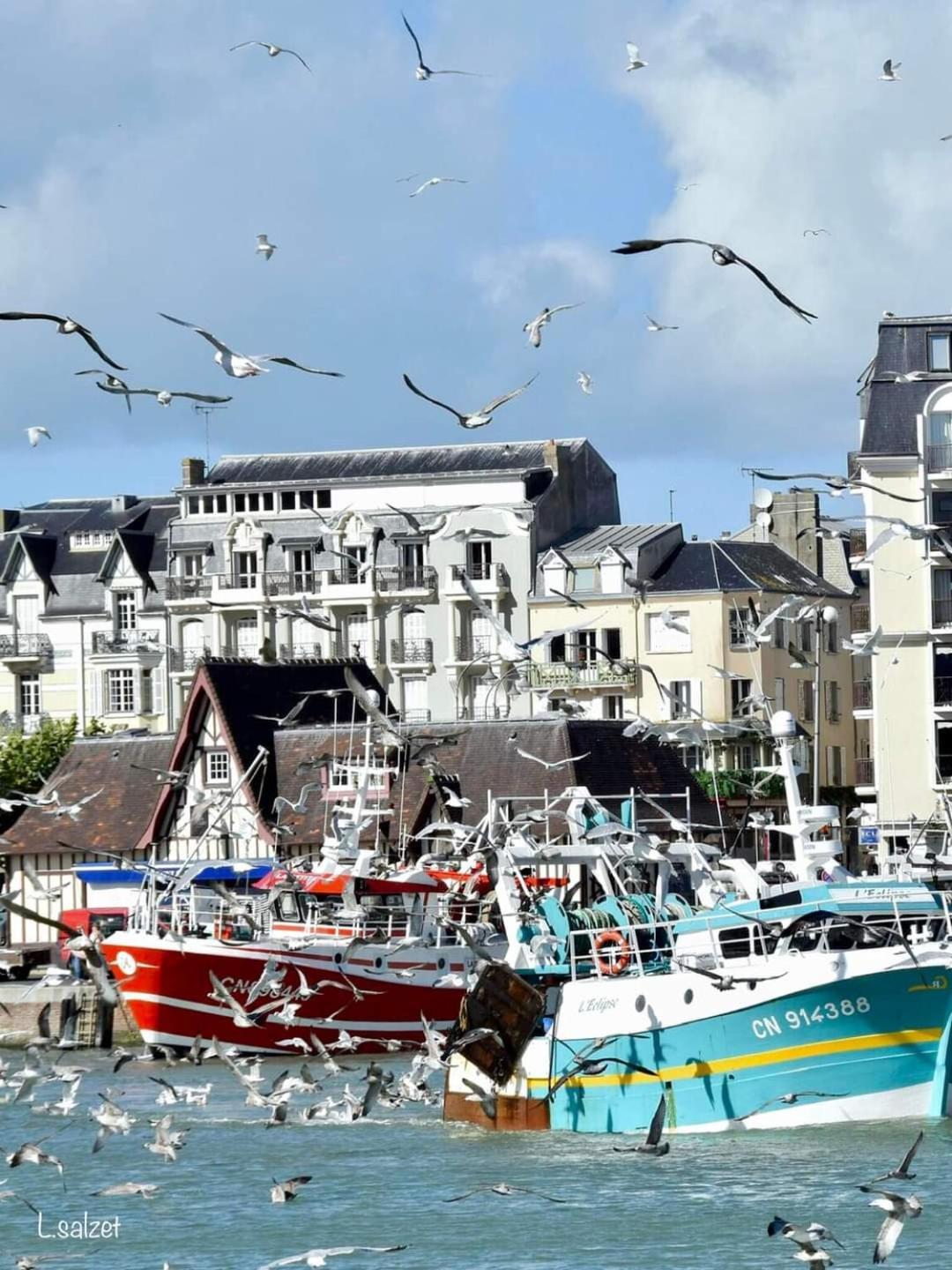 Studio De Charme A Trouville Sur Mer. Zewnętrze zdjęcie